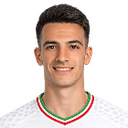 Hosseinzadeh