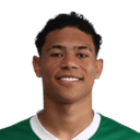 Luis Pacheco